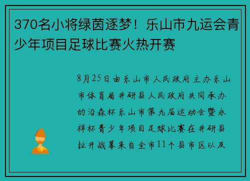 370名小将绿茵逐梦！乐山市九运会青少年项目足球比赛火热开赛